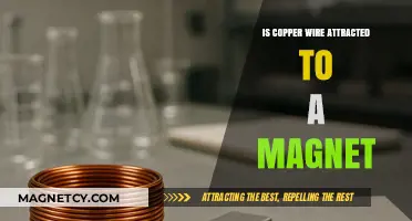 Is Copper Wire Magnetic? Exploring Its Attraction to Magnets