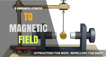 Diamagnetic Materials: Are They Attracted to Magnetic Fields?