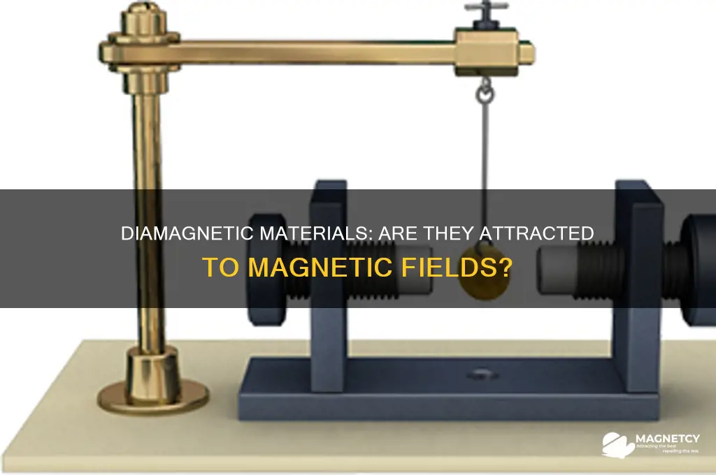 is diamagnetic attracted to magnetic field