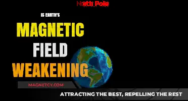 Shifting Poles: The Enigma of Earth's Weakening Magnetic Shield