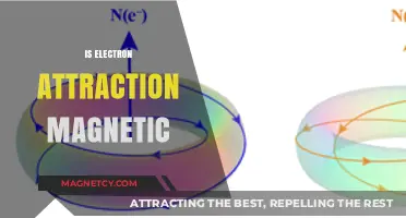 Exploring Electron Attraction: Magnetic Forces and Their Intriguing Role