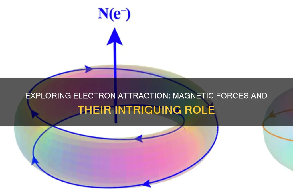 is electron attraction magnetic