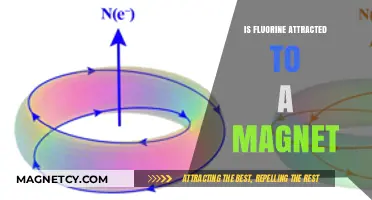 Is Fluorine Magnetic? Exploring Its Attraction to Magnets