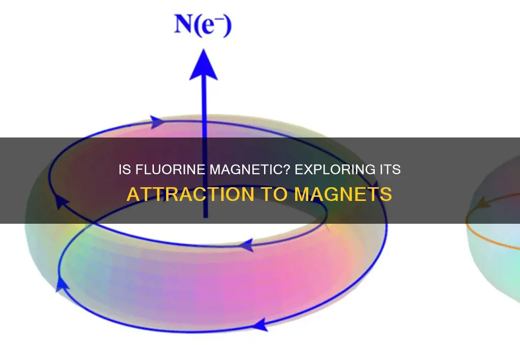 is fluorine attracted to a magnet