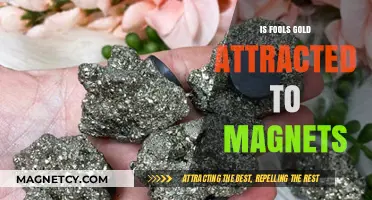 Fool's Gold and Magnets: Unveiling the Magnetic Truth Behind Pyrite