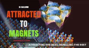 Is Gallium Magnetic? Exploring Its Attraction to Magnets
