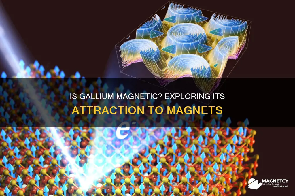 is gallium attracted to magnets