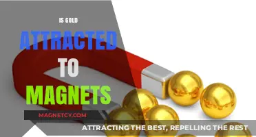Is Gold Magnetic? Unveiling the Truth About Gold and Magnets
