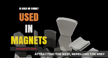 Gold vs. Cobalt: Which Metal Powers Modern Magnet Technology?