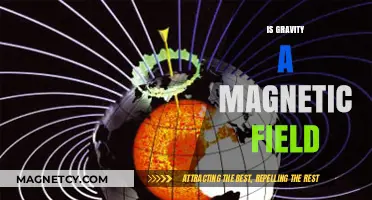 Exploring the Cosmos: Gravity's Magnetic Mysteries Unveiled