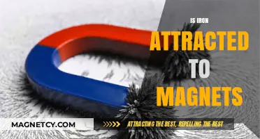 Is Iron Magnetic? Exploring the Attraction to Magnets