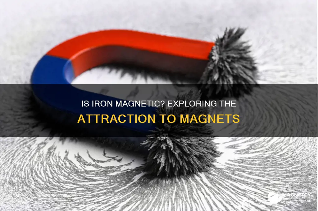 is iron attracted to magnets