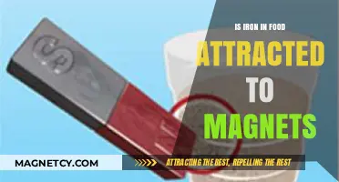 Can Magnets Attract Iron in Your Food? Surprising Facts Revealed