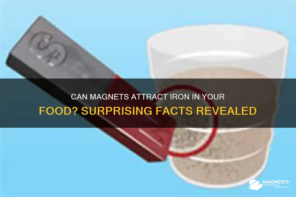 is iron in food attracted to magnets