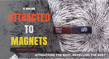 Is Iron Ore Magnetic? Unveiling the Truth About Magnet Attraction
