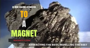 Is Iron Sulfide Magnetic? Exploring Its Attraction to Magnets