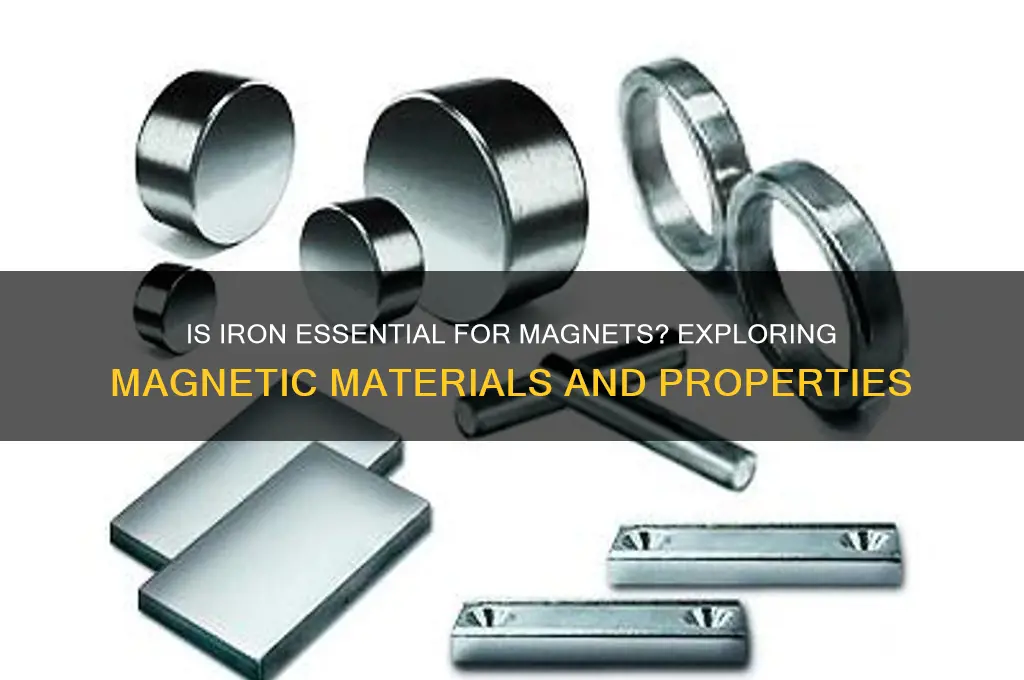 is iron used in magnets