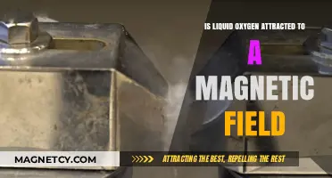 Is Liquid Oxygen Magnetic? Exploring Its Interaction with Magnetic Fields