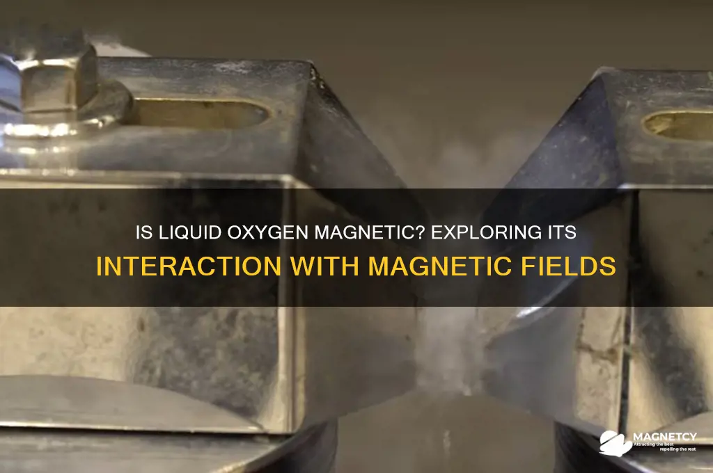 is liquid oxygen attracted to a magnetic field