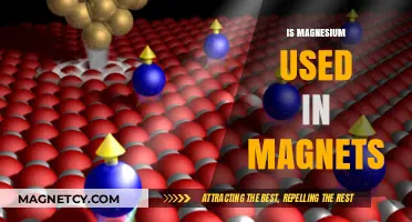 Magnesium's Role in Magnetism: Fact or Fiction Explained