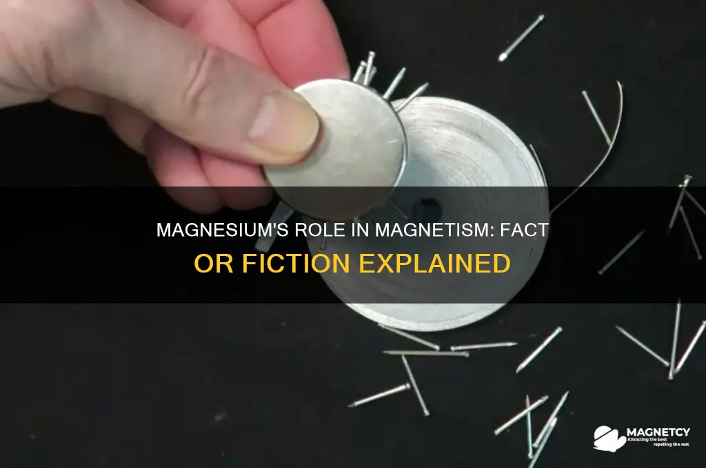 is magnesium used in magnets