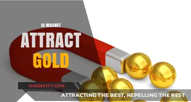 Does Magnet Attract Gold? Unveiling the Truth Behind the Myth