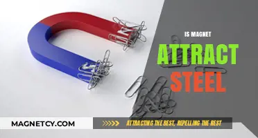 Does Magnet Attract Steel? Unveiling the Science Behind Magnetic Forces