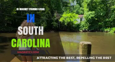 Exploring the Legality of Magnet Fishing in South Carolina