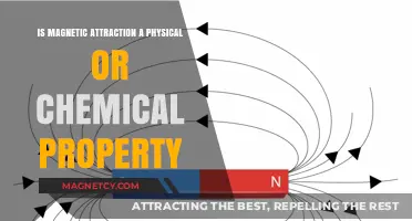 Magnetic Attraction: Unraveling Its Physical or Chemical Nature