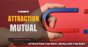 Is Magnetic Attraction Mutual? Exploring the Science Behind Opposites Attracting