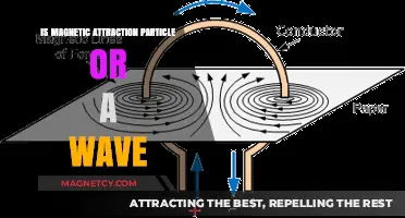 Magnetic Attraction: Unraveling the Particle-Wave Duality Mystery