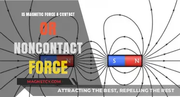Exploring the Nature of Magnetic Forces: Contact or Non-Contact?