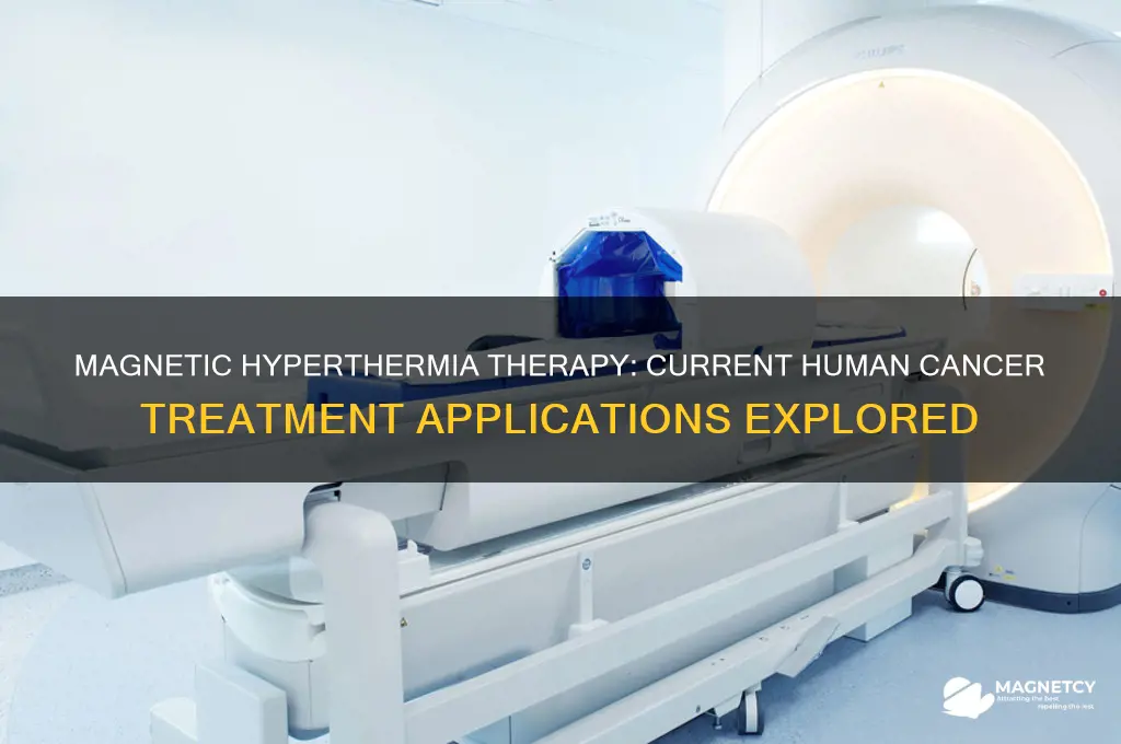 is magnetic hyperthermia therapy for cancer used in humans