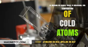 Magnetic Scales in Cold Atom Temperature Measurement: Fact or Fiction?