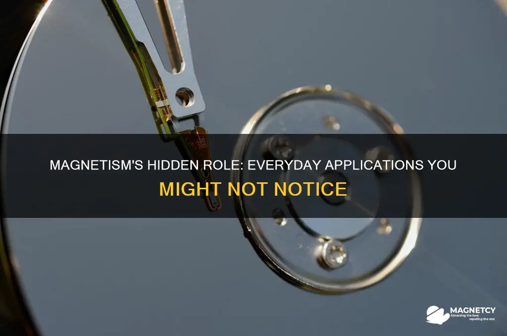 is magnetism used in everyday life