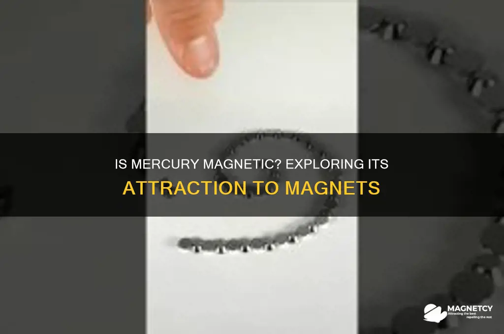 is mercury attracted to magnets