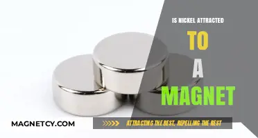 Is Nickel Magnetic? Exploring Its Attraction to Magnets