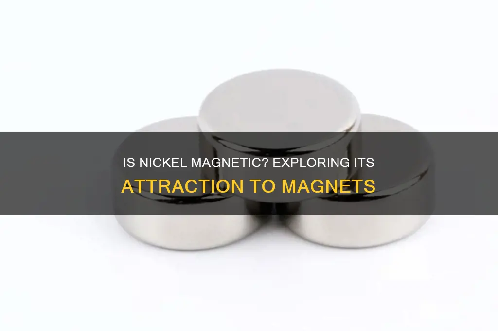 is nickel attracted to a magnet