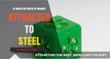 Magnetic Attraction: North or South Pole Drawn to Steel?