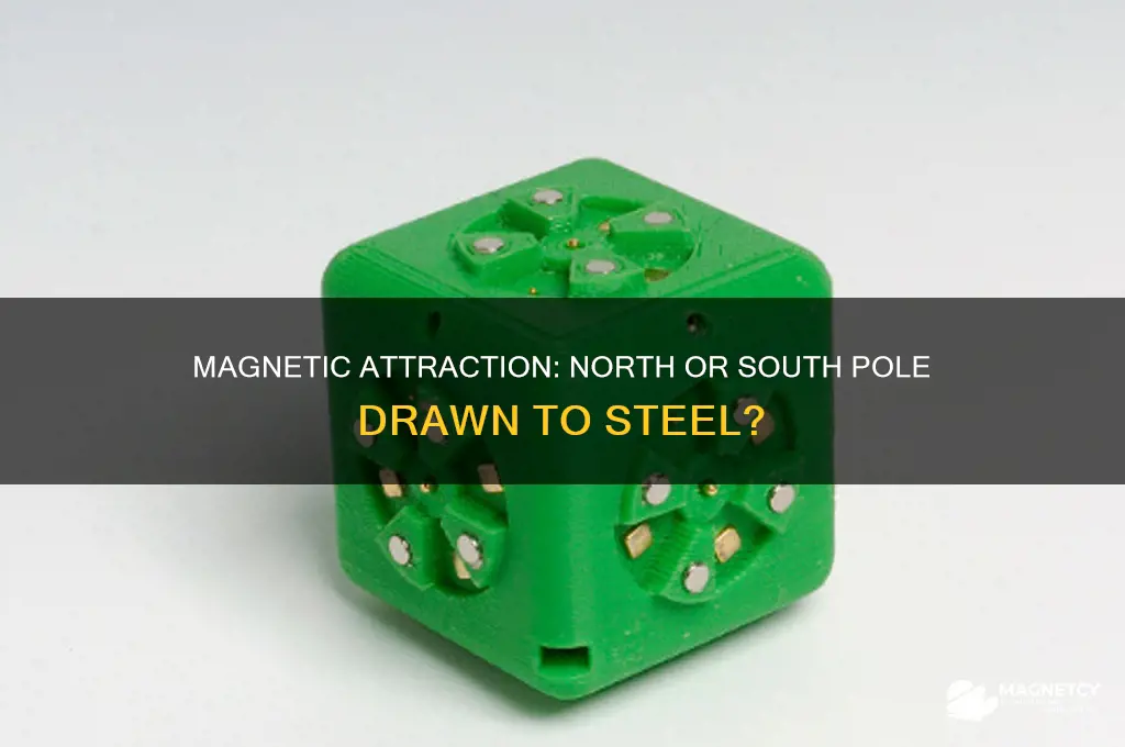 is north or south of magnet attracted to steel
