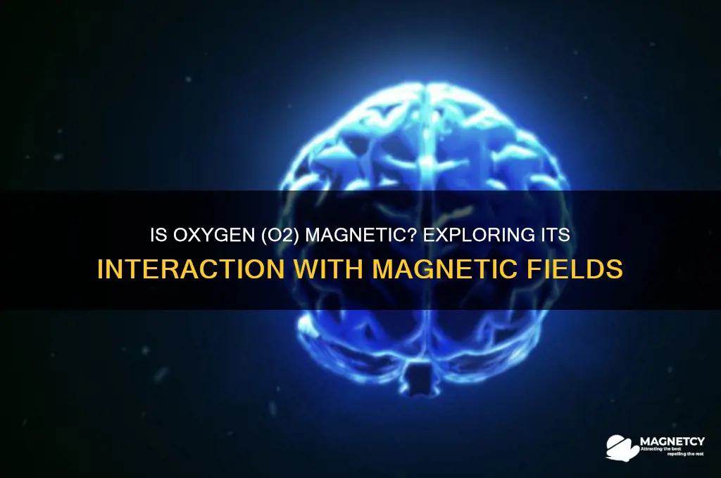 is o2 attracted to a magnetic field