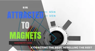 Is Oil Magnetic? Exploring the Science Behind Oil and Magnets