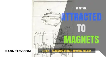 Is Oxygen Magnetic? Unraveling the Science Behind Magnetism and Gases