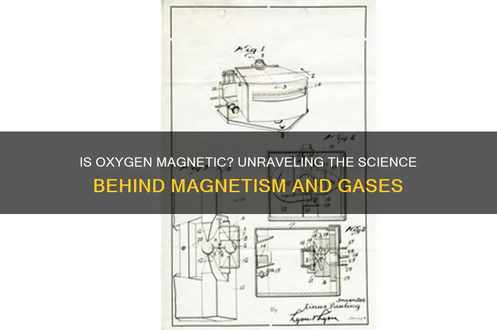 is oxygen attracted to magnets