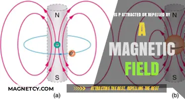 Is P Attracted or Repelled by a Magnetic Field? Exploring the Science