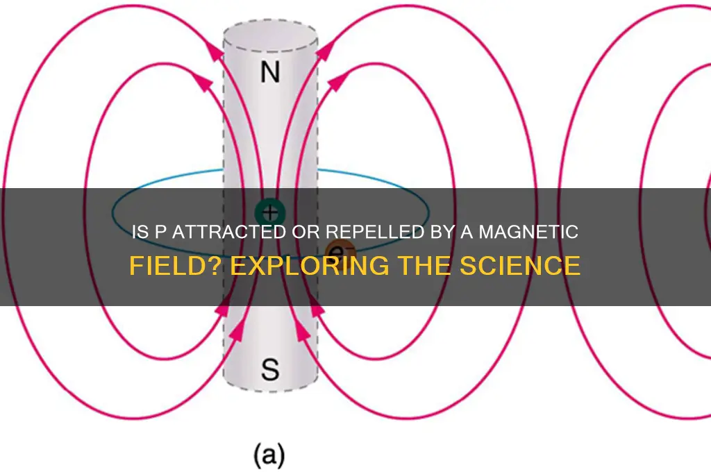 is p attracted or repelled by a magnetic field
