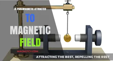 Paramagnetic Materials: Understanding Their Attraction to Magnetic Fields