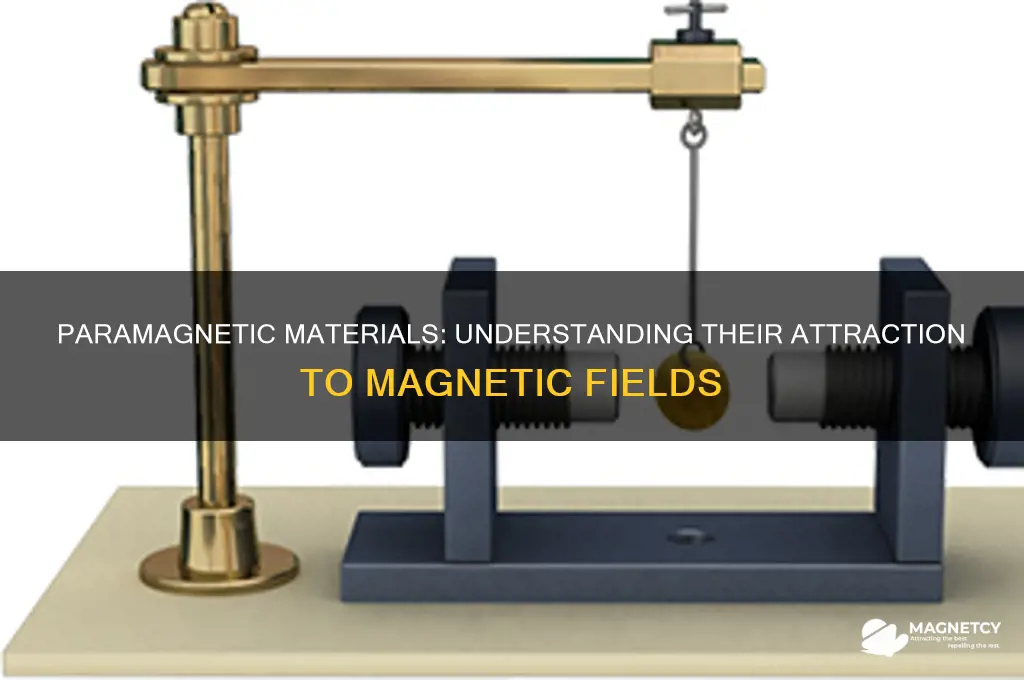 is paramagnetic attracted to magnetic field