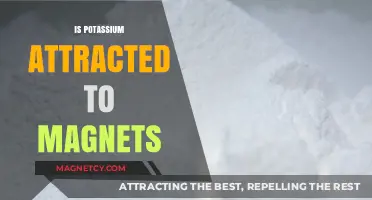 Is Potassium Magnetic? Exploring Its Attraction to Magnets