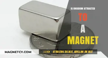 Is Rhodium Magnetic? Exploring Its Attraction to Magnets